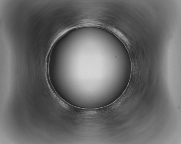 X0000116671431200912211555