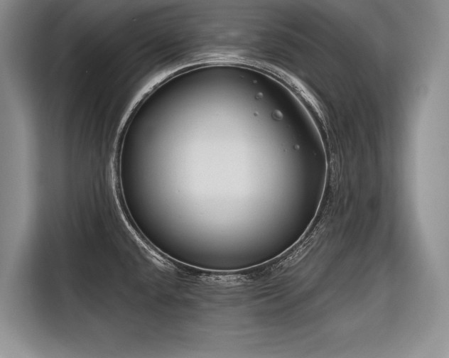 X0000116671432200912211555