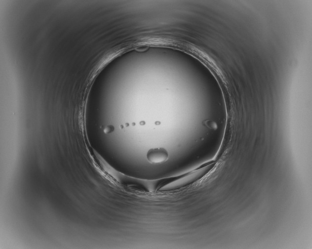 X0000116671433200912211555