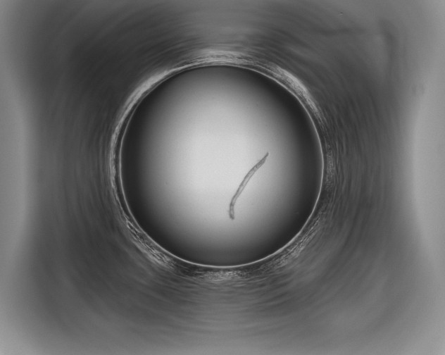 X0000116671435200912211555