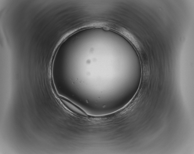 X0000116671436200912211555