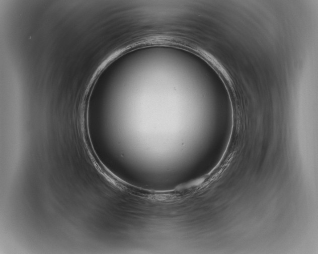 X0000116671437200912211555