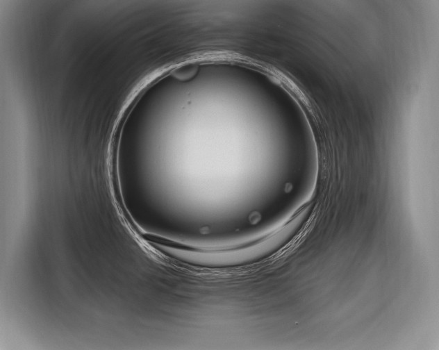 X0000116671438200912211555