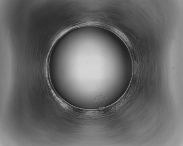 X0000116671439200912211555