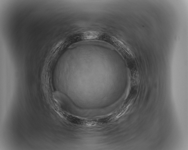 X0000116671441200912211554