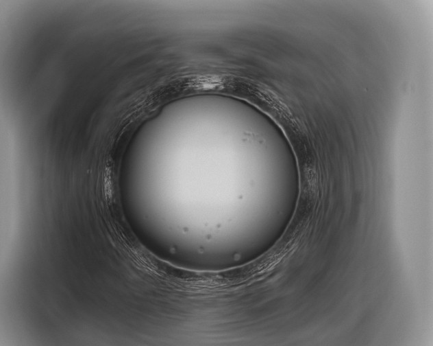 X0000116671442200912211554