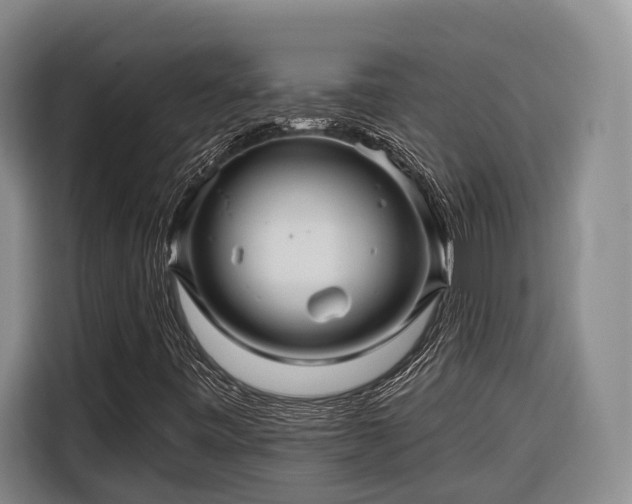 X0000116671443200912211554