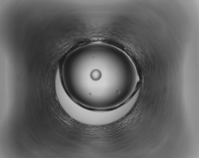 X0000116671444200912211554