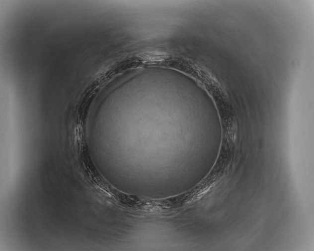 X0000116671445200912211554