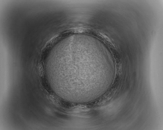 X0000116671446200912211554