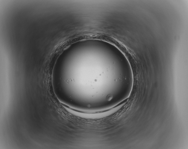 X0000116671447200912211554