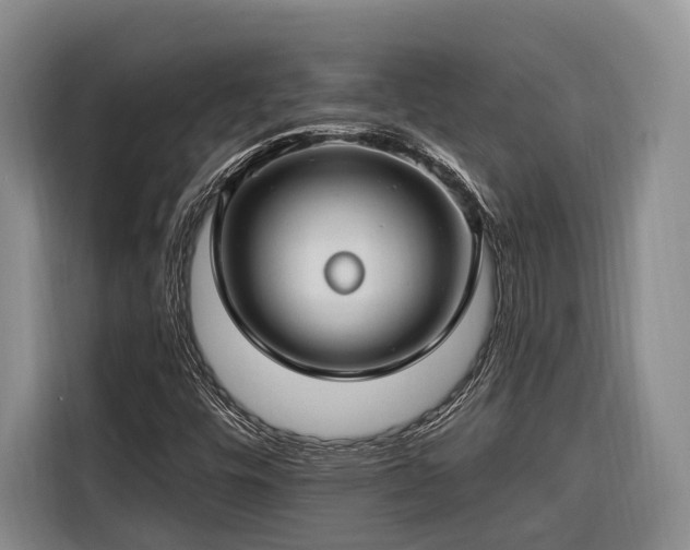 X0000116671448200912211554