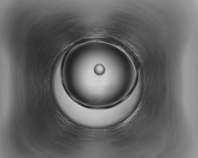 X0000116671449200912211554