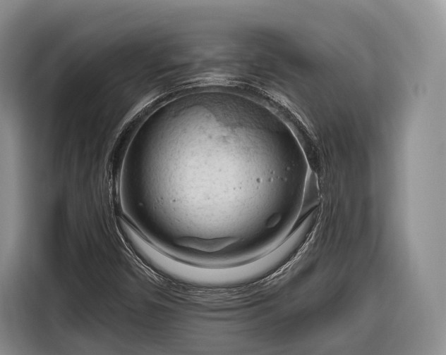 X0000116671450200912211554