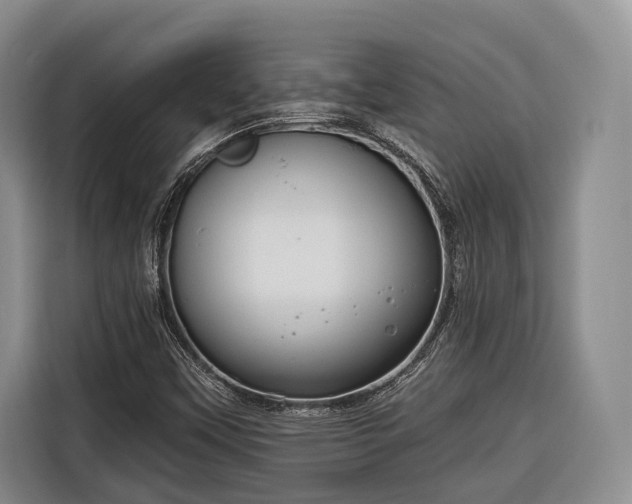 X0000116671451200912211554