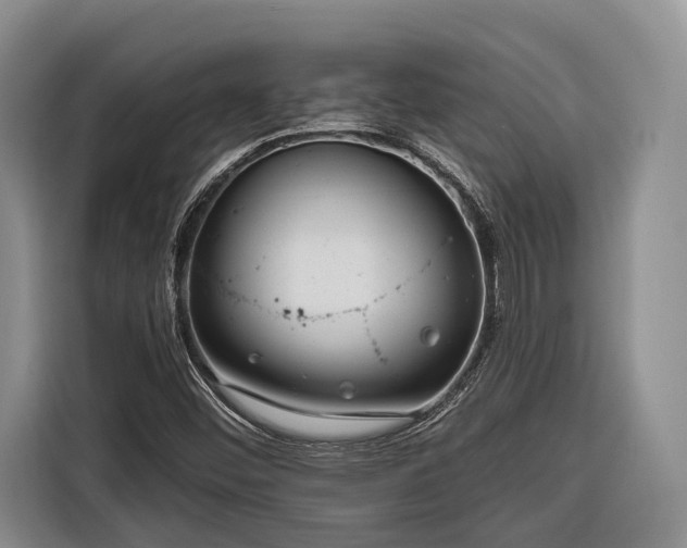 X0000116671452200912211554