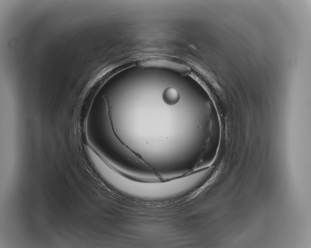 X0000116671453200912211554