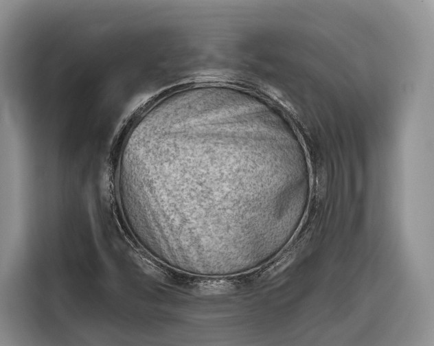 X0000116671454200912211554