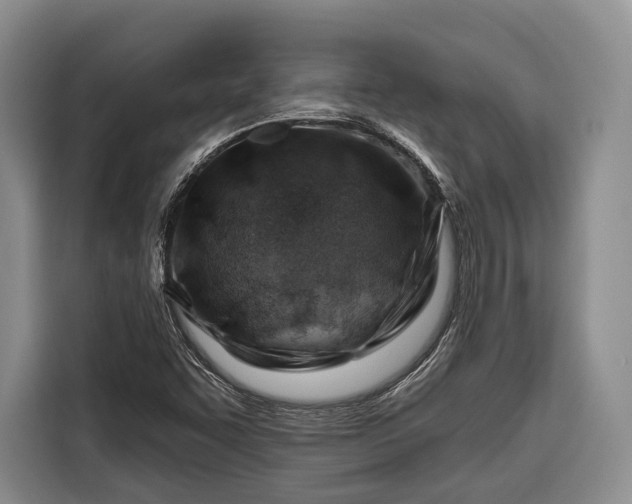 X0000116671455200912211554