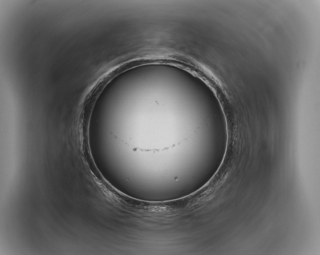 X0000116671456200912211554