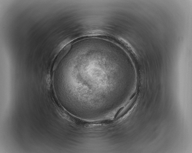 X0000116671457200912211554