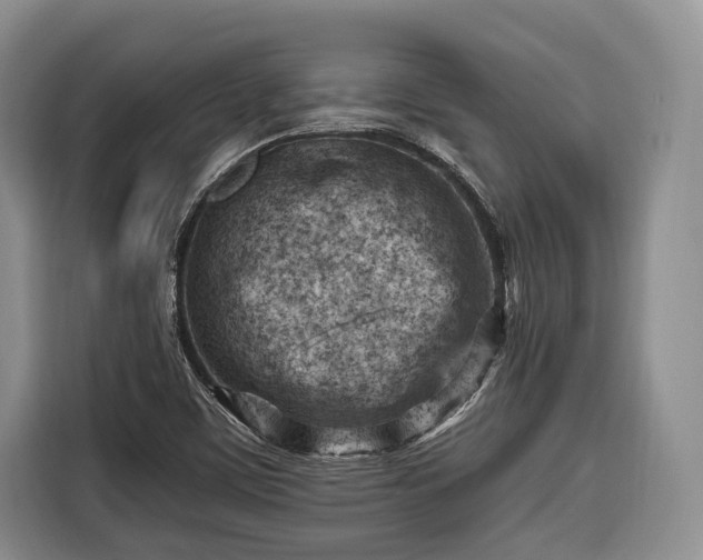 X0000116671459200912211554