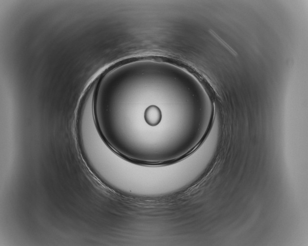 X0000116671460200912211554