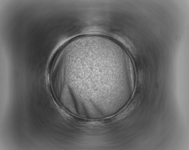 X0000116671462200912211554