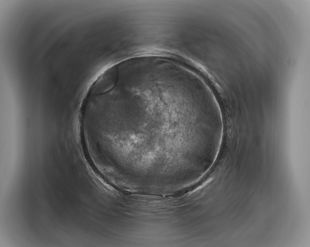 X0000116671463200912211554