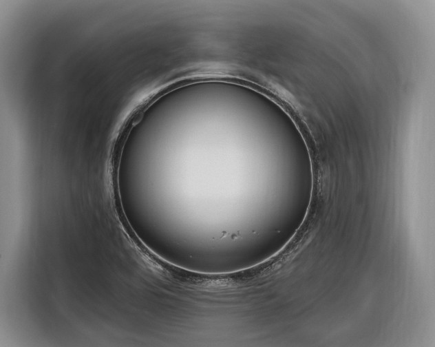 X0000116671464200912211554