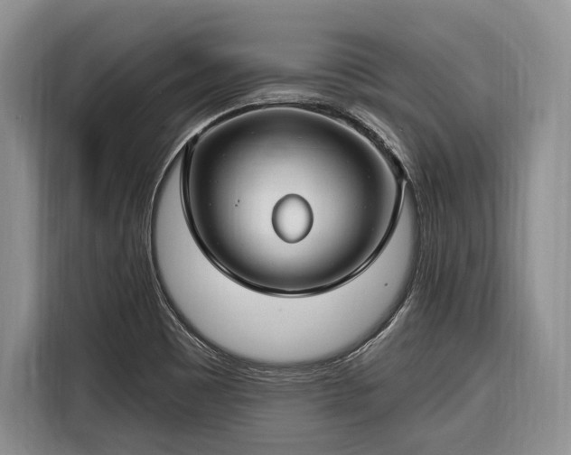 X0000116671465200912211554