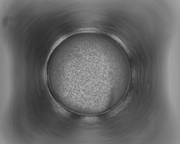 X0000116671466200912211554