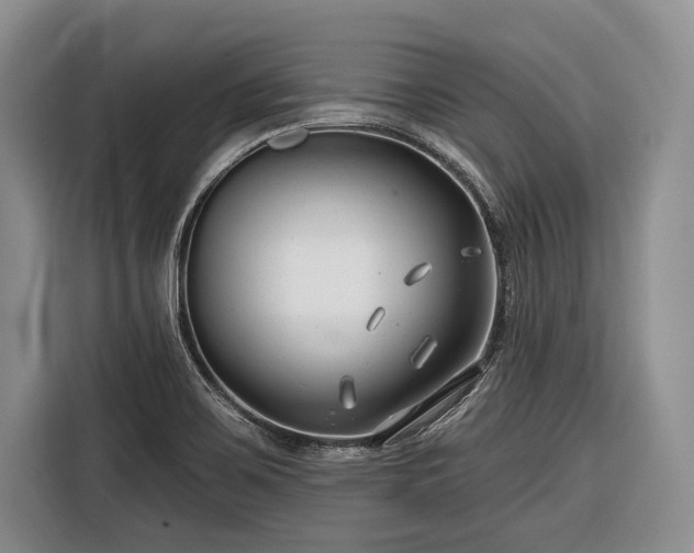 X0000116671467200912211554