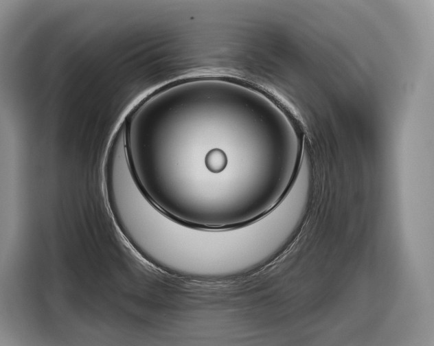 X0000116671468200912211554