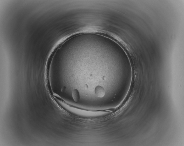 X0000116671469200912211554