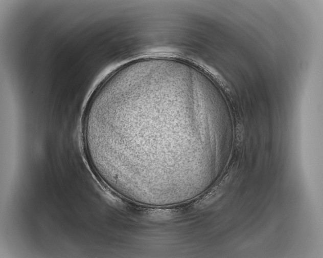 X0000116671470200912211554