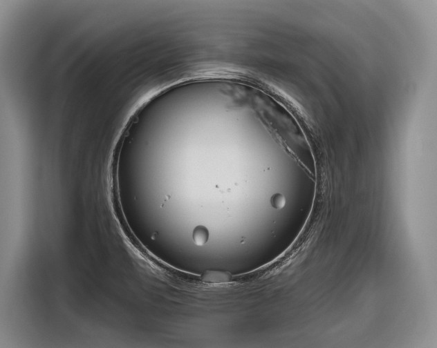 X0000116671471200912211554