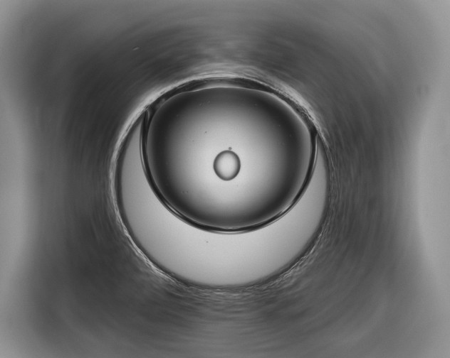 X0000116671472200912211554