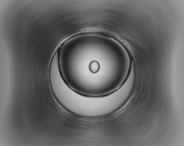 X0000116671473200912211554