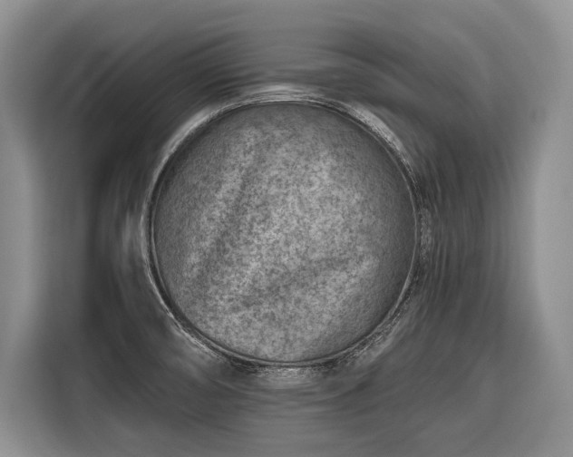 X0000116671474200912211554