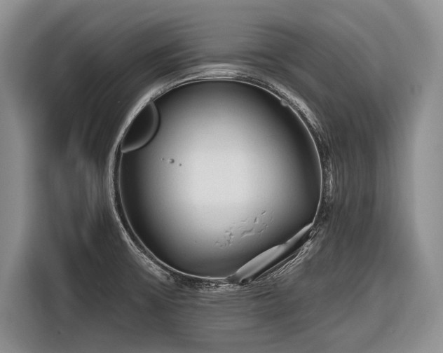 X0000116671475200912211554