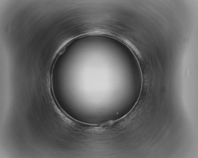 X0000116671476200912211554