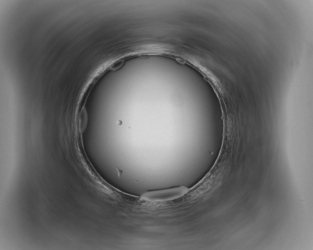 X0000116671477200912211554