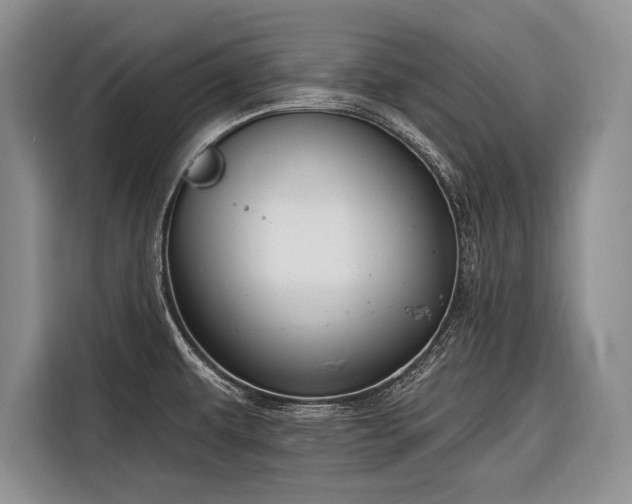 X0000116671479200912211554