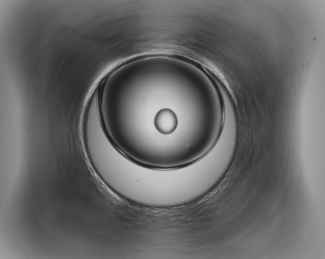 X0000116671480200912211554