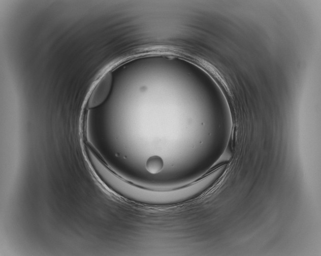 X0000116671482200912211554