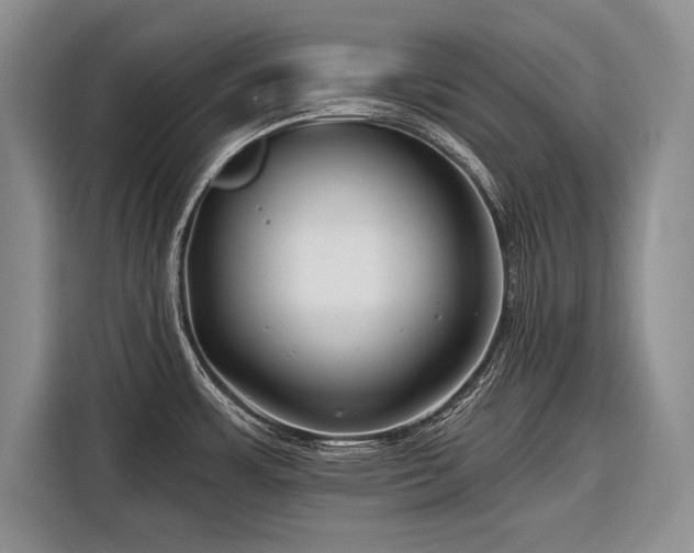 X0000116671483200912211554