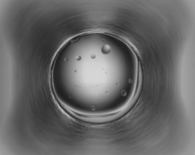 X0000116671484200912211554