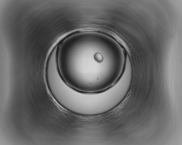 X0000116671485200912211554