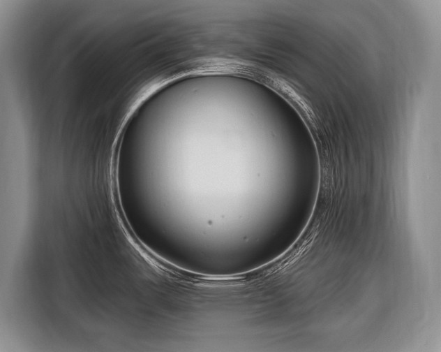 X0000116671487200912211554